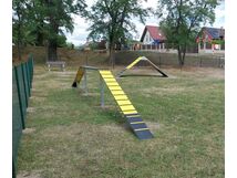 Agility