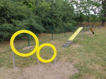 Agility