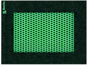 2obdelnil-3dbez-naz-zelena